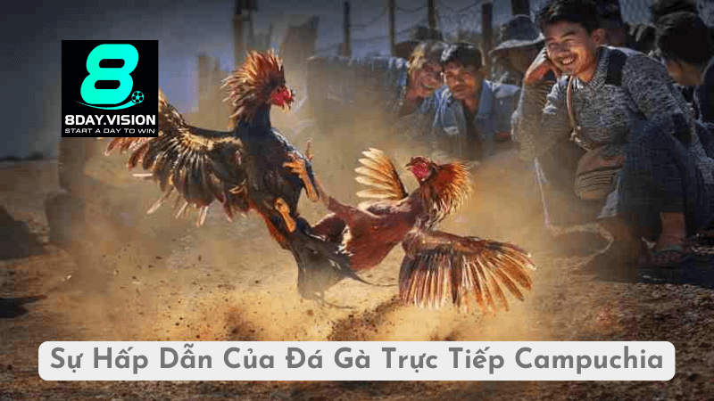 Sự Hấp Dẫn Của Đá Gà Trực Tiếp Campuchia